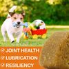 Glucosamine Chondroitin MSM for Dogs, Hip and Joint Support