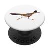 Roadrunner Running PopSockets Swappable PopGrip