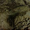 Natural Mullein Herb Leaf Wild Crafted 1 lb Bulk Powder - Spice Discounters