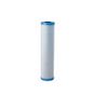 Pentek EP-20BB Carbon Briquette Filter 155583