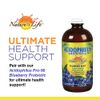 Nature's Life Lipotropic Complex | 90 Vegetarian Tablets