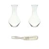 Riedel Cabernet Wine Decanter Set of 2 and Crystal Stemware Washing Brush