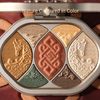 FLORASIS Into the Wild Palette (Nomadic Glam)