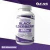 EAS Black Elderberry 450mg | Supports Healthy Immune Response | 120 Tablets