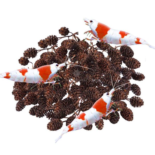 SunGrow Alder Cones for Shrimps, Water Conditioner for Freshwater Shrimp Tanks, Aquarium Decorations & Accessories, 1”, 50 Cones per Pack