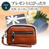 Seal Case, Hanko Pouch, Handmark, Multi-functional, Bulk Storage, Compact, Portable, Zipper, Divider, Genuine Leather, Black