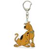 Scooby-Doo Acrylic Key Chain Scooby-Doo WBHB793