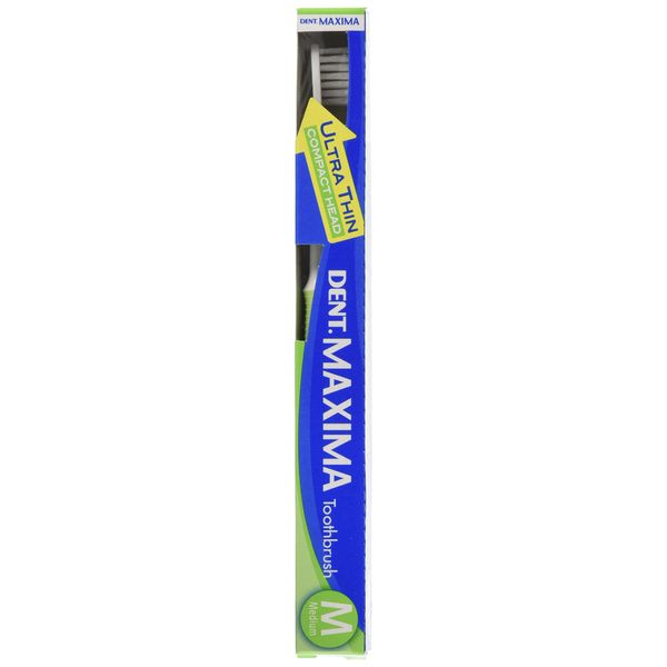 Lion DENT Maxima Medium