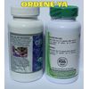 Celulas Madres + Probiotico Bacticontrol Cell Support
