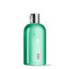 Wild Mint and Lavandin Bath and Shower Gel