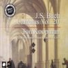 J. S. Bach - Cantatas, Vol 20