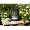 Feverfew Tea - Wellness (Premium)