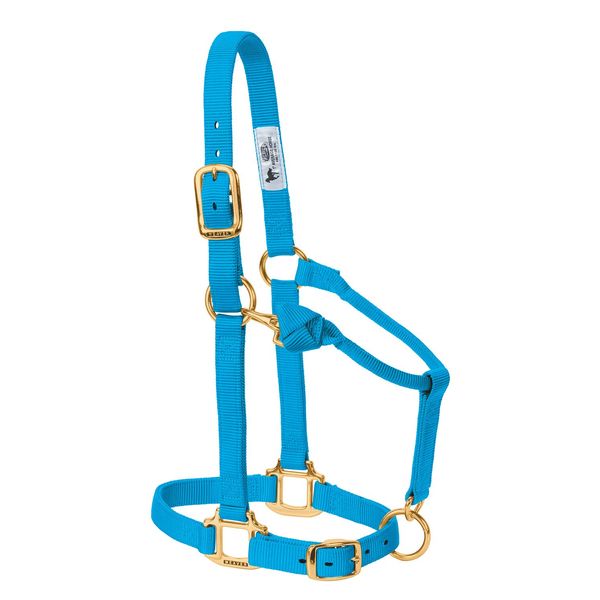 Weaver Leather Original Adjustable Nylon Horse Halter, Weanling/Pony, Hurricane Blue