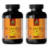 ST. JOHN'S WORT EXTRACT - ginkgo biloba extract - 2 Bottles