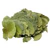 Eucalyptus Leaves Herbal Infusion Tea  Hojas De Eucalipto Value Zip Lock (100g)