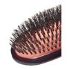 Cartel Pneumatic Boar Brush, Medium