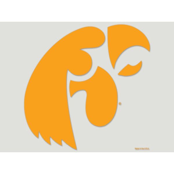 NCAA University of Iowa 80311010 Perfect Cut Color Decal, 8" x 8", Black