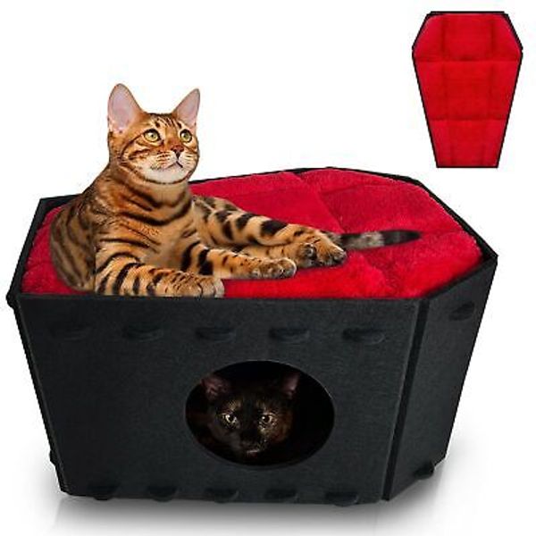 Gothic Cat Bed for Indoor Cats or Pets, Foldable as Halloween Cat House with ...