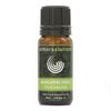 Mandarin Essential Aromatherapy Oil 10ml