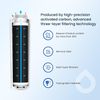 2 Pack GLACIER FRESH Refrigerator Water Filter Fits Amana AFD2535DEW
