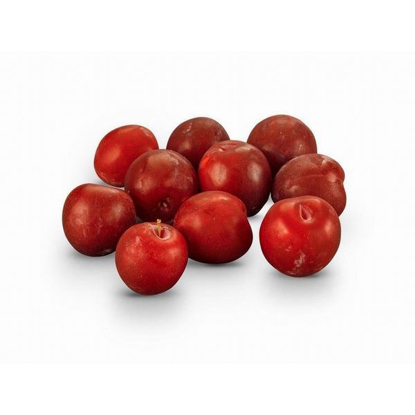 Santa Rosa Plum Tree: Grafted