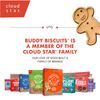 Buddy Biscuits Roasted Chicken Flavor 6 Oz.