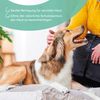 Beaphar Hypoallergenic Shampoo for Dogs and Cats 250ml