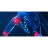a joint - JOINT MATRIX COMPLEX - chondroitin and glucosamine combination 2B