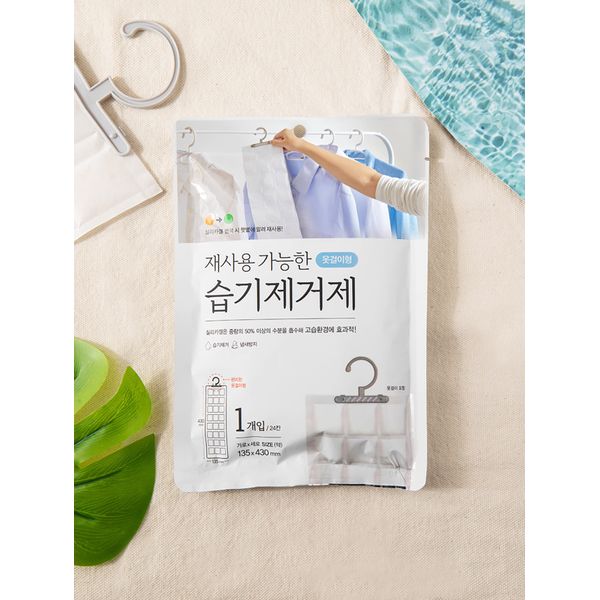 Hanger-type moisture remover for wardrobe