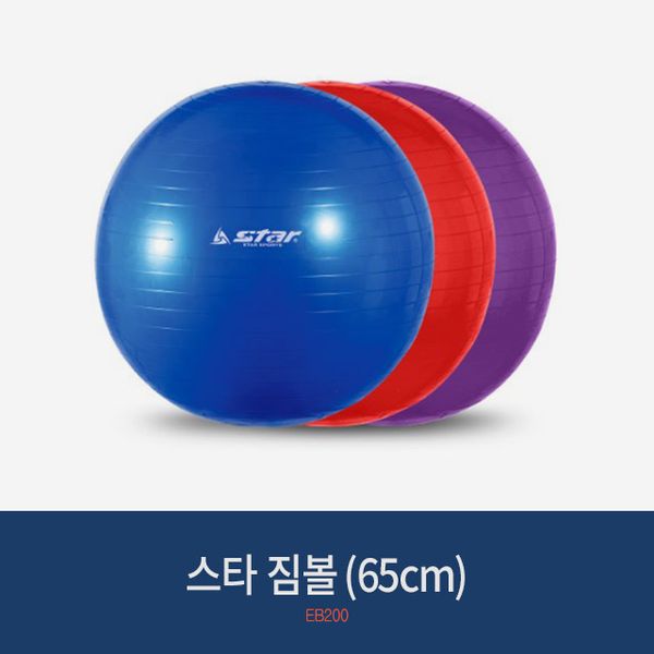 Star Diet Gym Ball 65cm (3 Colors) Diet Homet Yoga Fitness, Blue