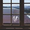 Small 100mm 'Badger Face' Clear Static Window Cling Sticker/Decal (White) (WC00012511)