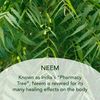 SUNDÃRI Neem Night Cream