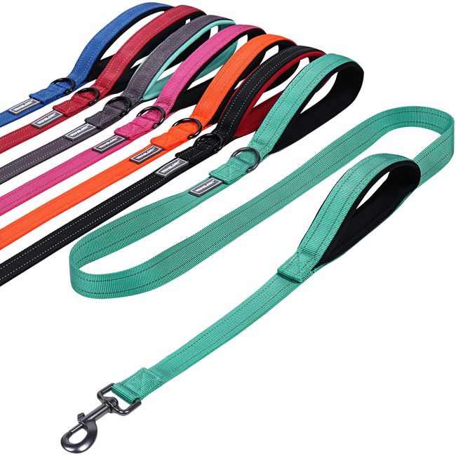 VIVAGLORY Traffic Handle Dog Leash, Two Padded Soft Handles Dog Leash, Strong Reflective & Metal Hook Training Dog Lead, Turquoise