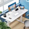 55"x24" White Modern Height Adjustable Electric Standing Desk Home Office Table