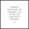 Goldwell Dualsenses Bond Pro Repair & Structure Spray 150ml