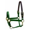 Perri's Premium Nylon Safety Halter, Hunter Green, Cob