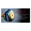 LIVRE 10179 PT42 Daiwa (L) Brown (IP) & Titanium