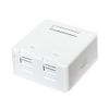 Faconet® Keystone Surface-Mounted Empty Box for 2 Keystone Modules Keystone Jack (Pack of 3)