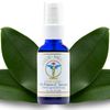 Ayur Medic Hi-Poten-C Serum Vitamin C Serum for Face, With Stable Vitamin C (Tertrahexyldecyl Ascorbate), Neossance Squalane, Vitamin E. For Dark Spots, Hydration Sun Damage, Fine Lines and Wrinkles.