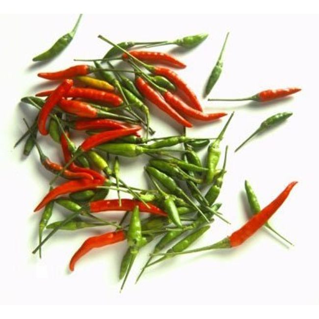 Thai Fresh Chili 1 Lb