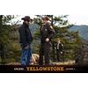 Yellowstone - Staffel 1 [4 DVDs]