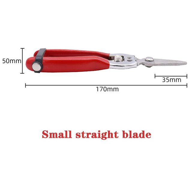 Portable Garden Stainless Pruning Shears Fruit Picking Scissors Household  Potted Trim Branches Small Gardening Tools