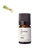 Vetiver Essential Oil Organic/5ml