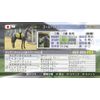 Winning Post 7 2013 - PS3