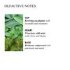 Molton Brown Infusing Eucalyptus Bath and Shower Gel 300 ml