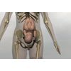 Mastering Pregnancy Massage