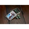 SS Game Dice Parent (Green/Silver)