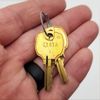 CompX C8054 Cam Lock 15/16"L x 3/4"D Cylinder Bright Brass 5 Disc Keyed Diff