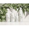 Paul Mitchell Tea Tree Scalp Care Anti-Thinning Conditioner, 300 ml