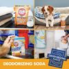 3 Pack - Arm & Hammer Pure Baking Soda, 13.5lbs.